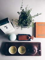 Serene flat lay of wellness essentials including a teapot, loose tea leaves, and calming greenery in muted earthy tones.