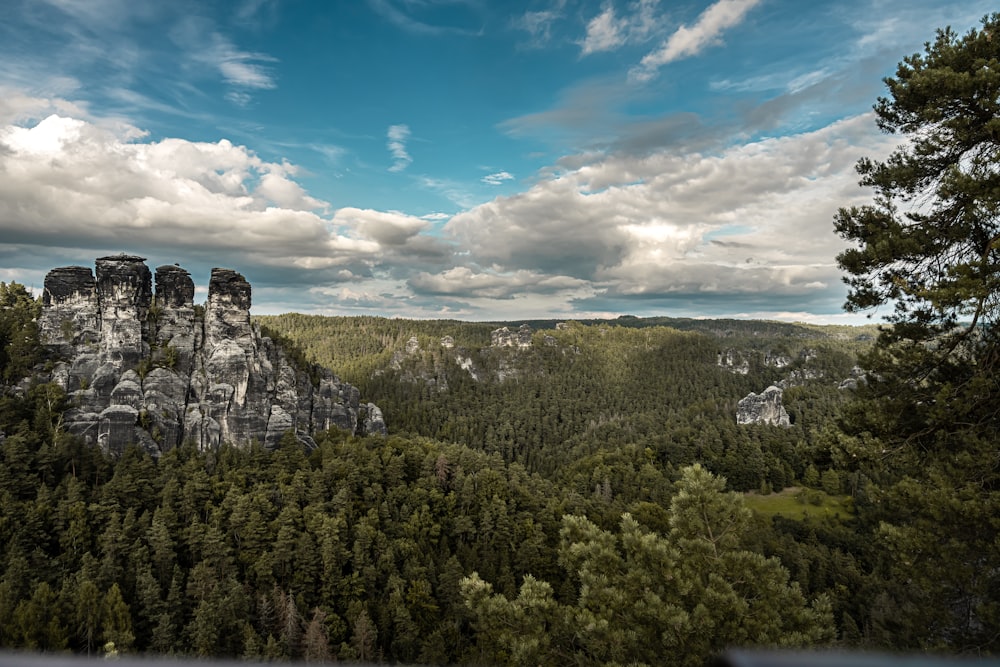 a scenic view of the mountains and trees