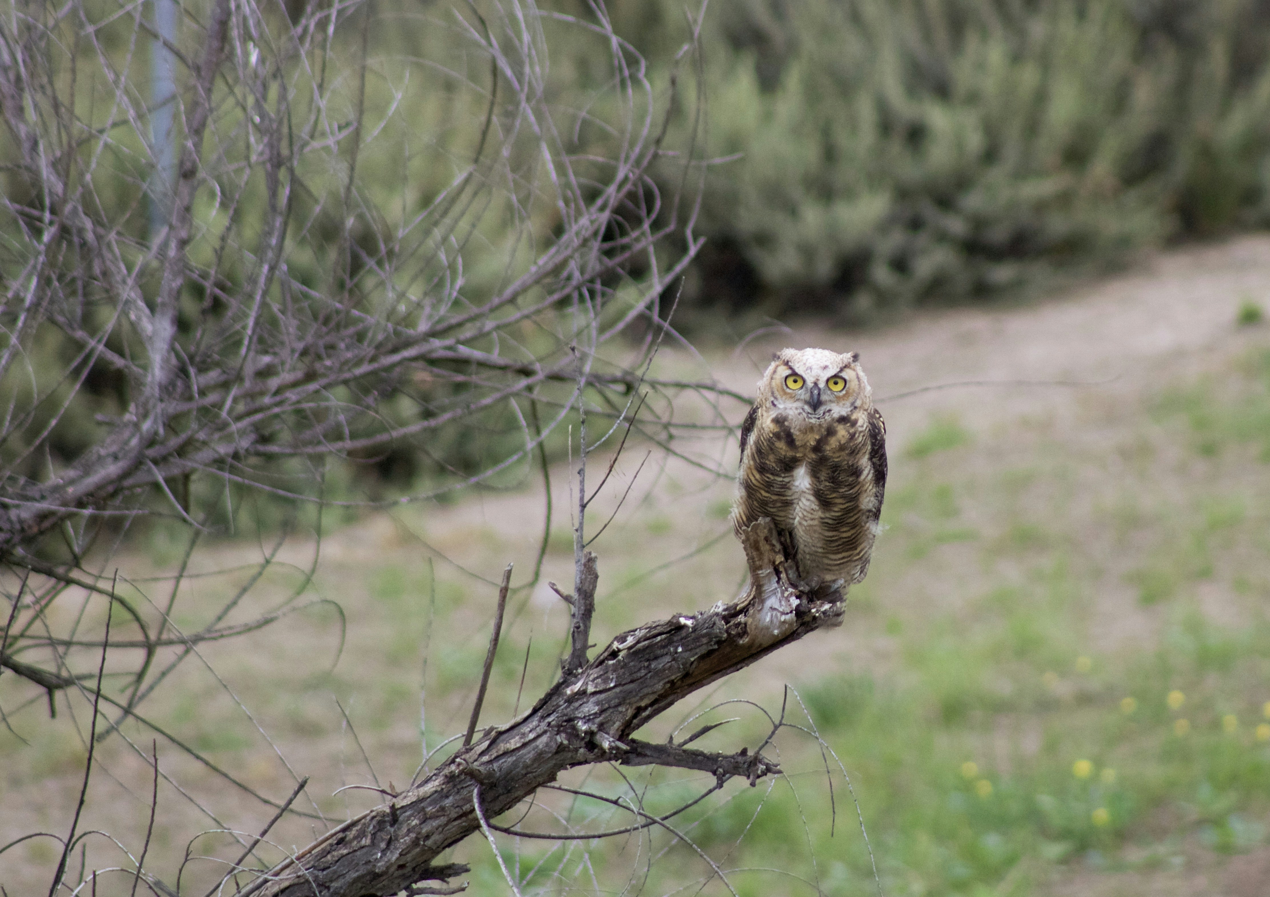 Photo by picsbyjameslee