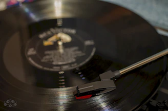 Close-up of a hand holding a vinyl record of a metal album with dark, edgy artwork.