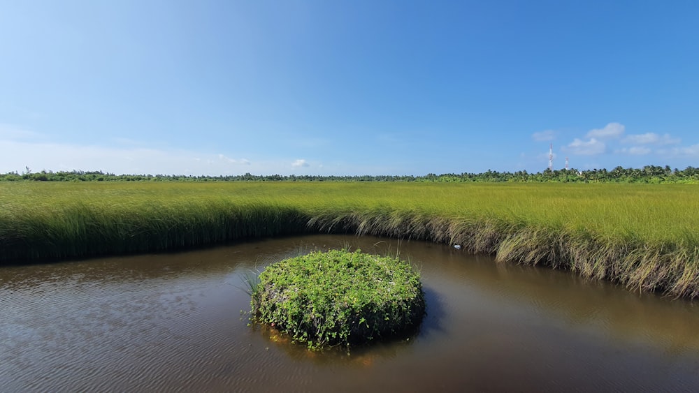 a small island in the middle of a body of water