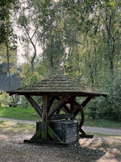 An old wooden well stands in a serene forest setting, surrounded by tall trees with lush green leaves. The well has a rustic wooden roof and a large wheel, situated on a cobblestone path. Sunlight filters through the foliage, casting dappled shadows on the ground.