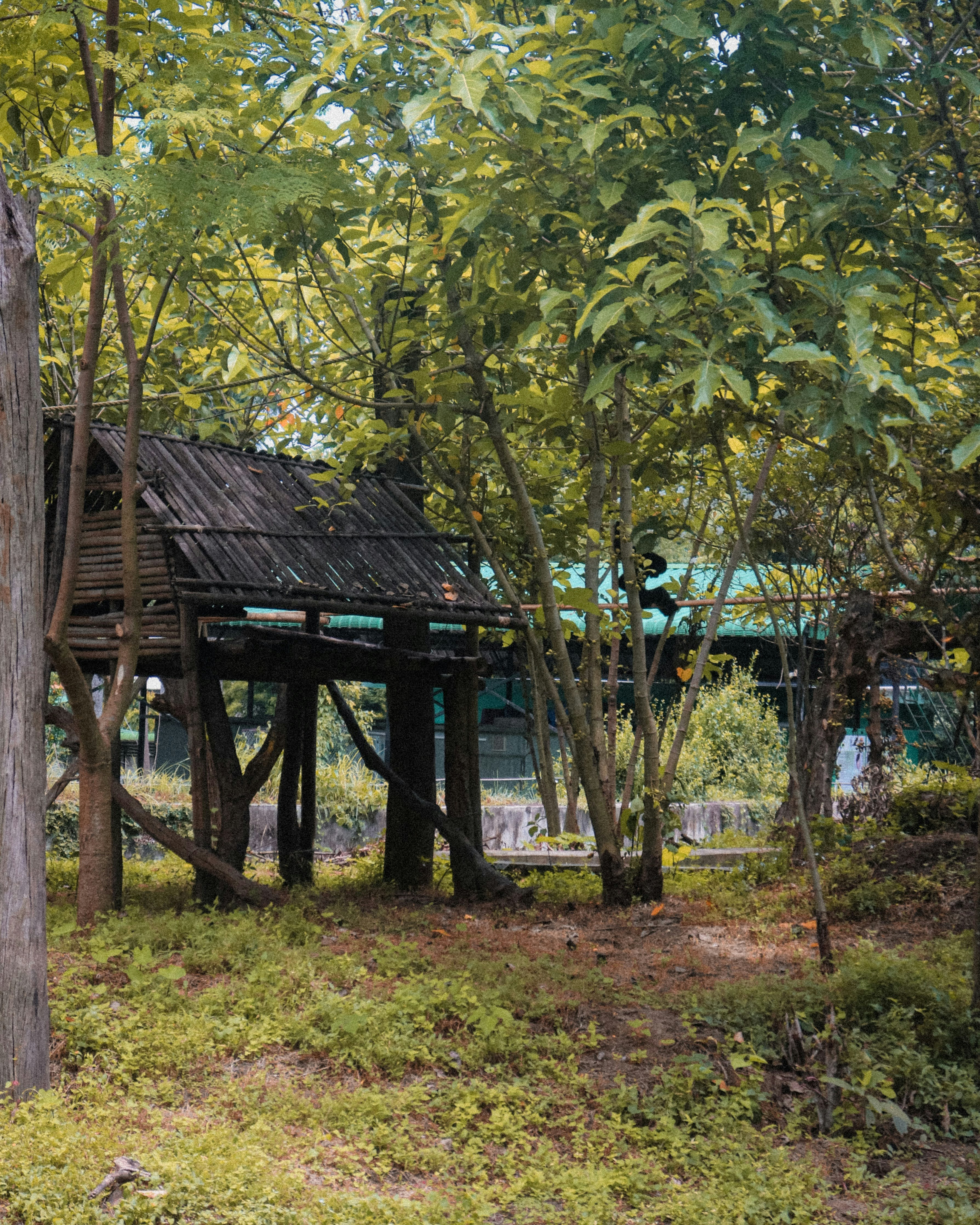 Photo by heyxbhargab