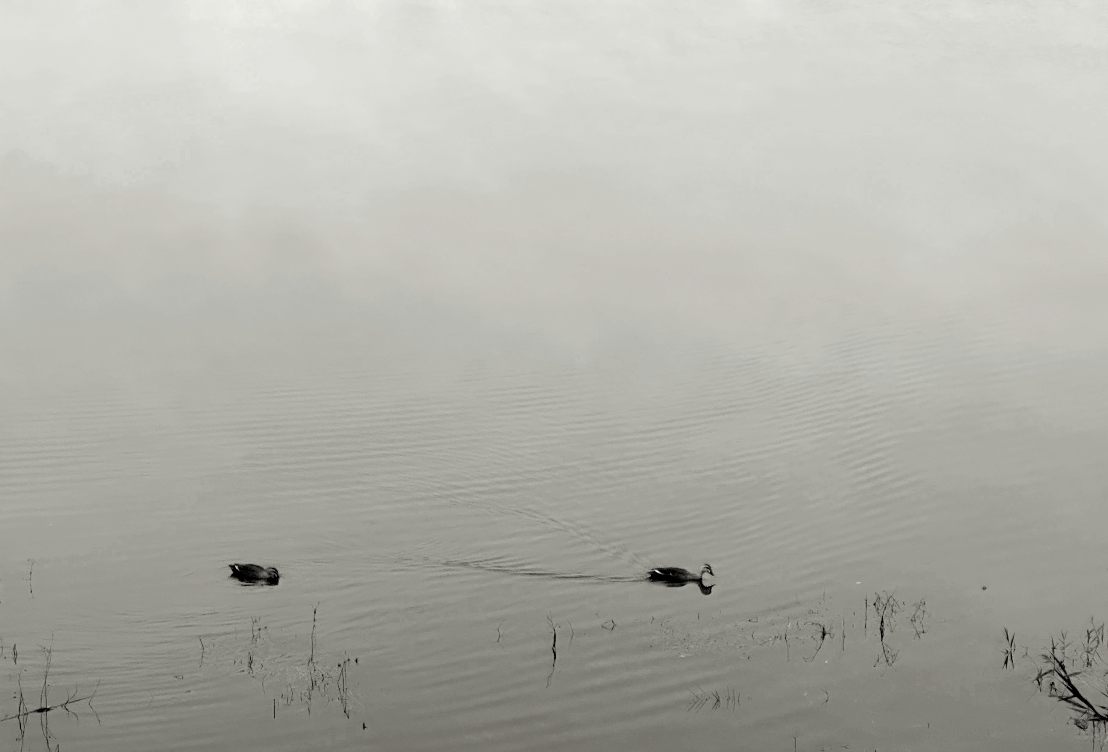 Photo by yuan2heng