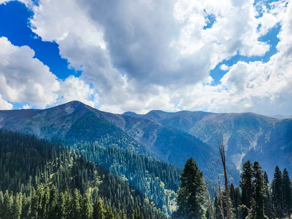 a scenic view of a mountain range with trees in the foreground