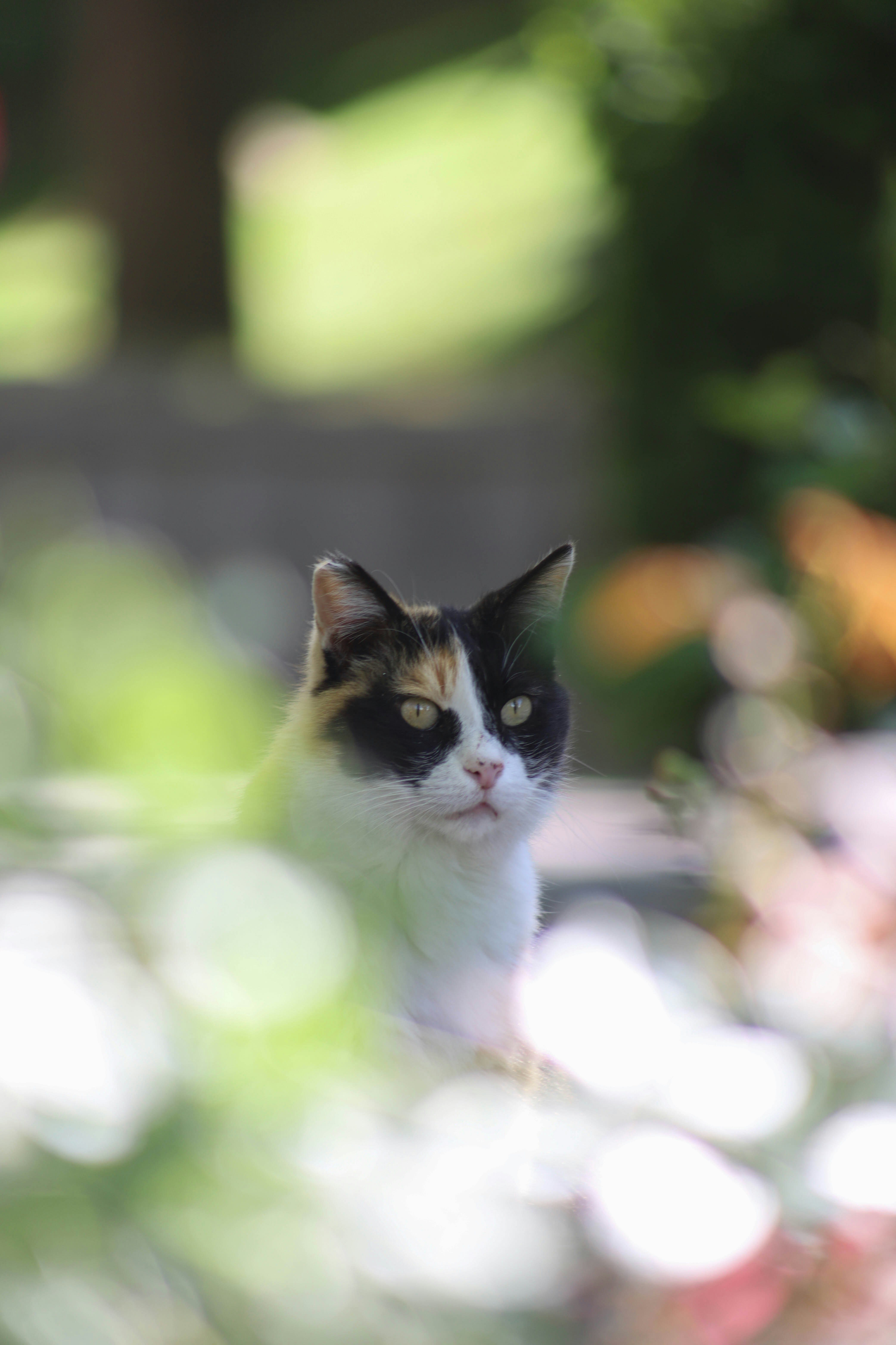 Photo by kavehrasooli