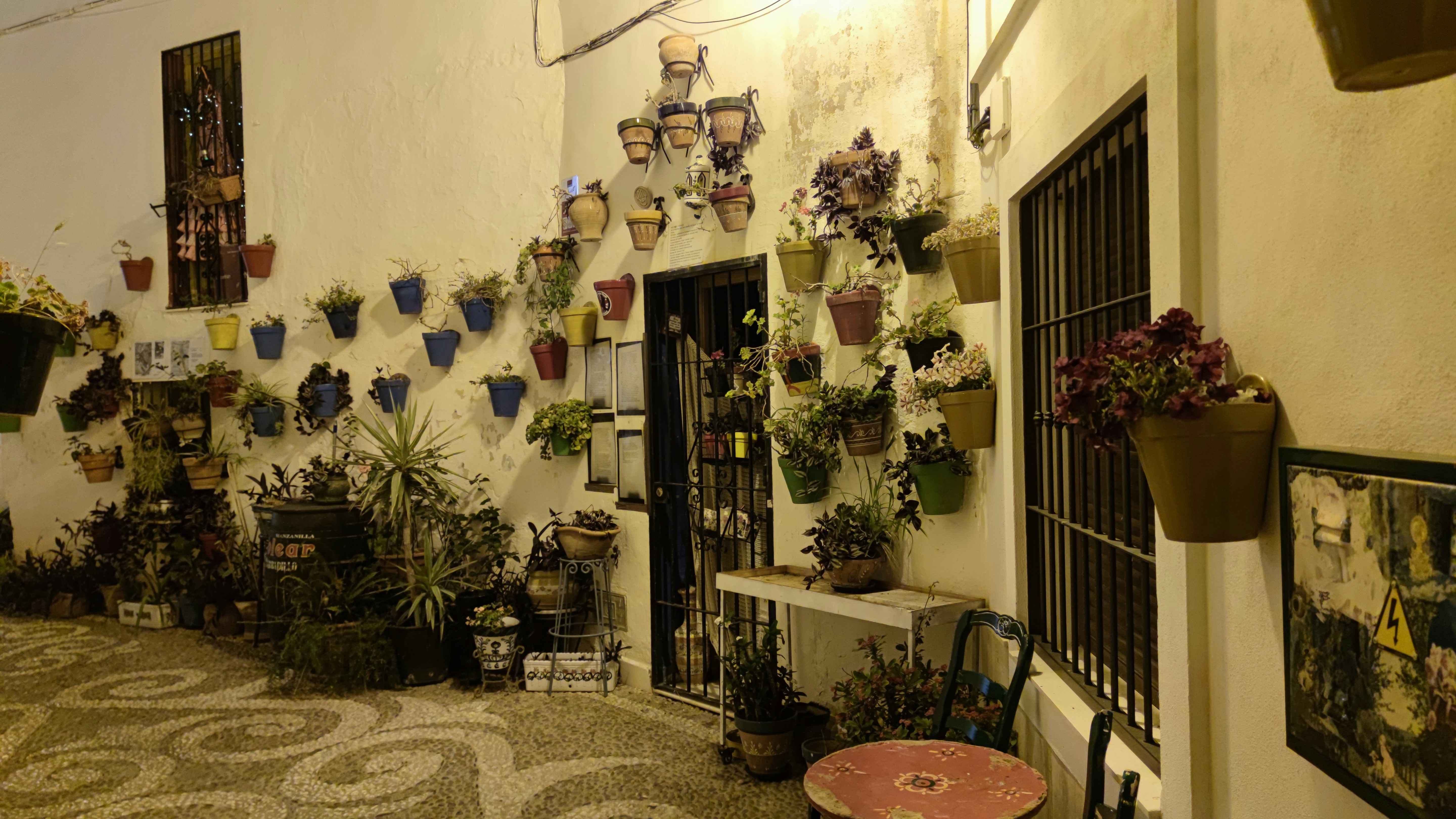 Apartamenos el Cenachero