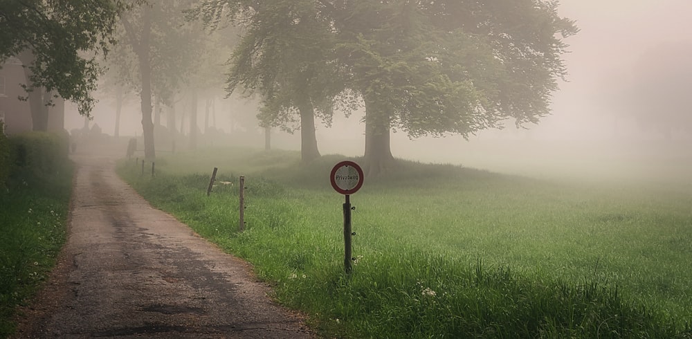 a foggy country road with a stop sign in the foreground