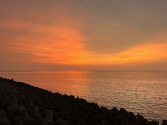 A stunning sunset over the ocean, with silhouettes of whales in the foreground.