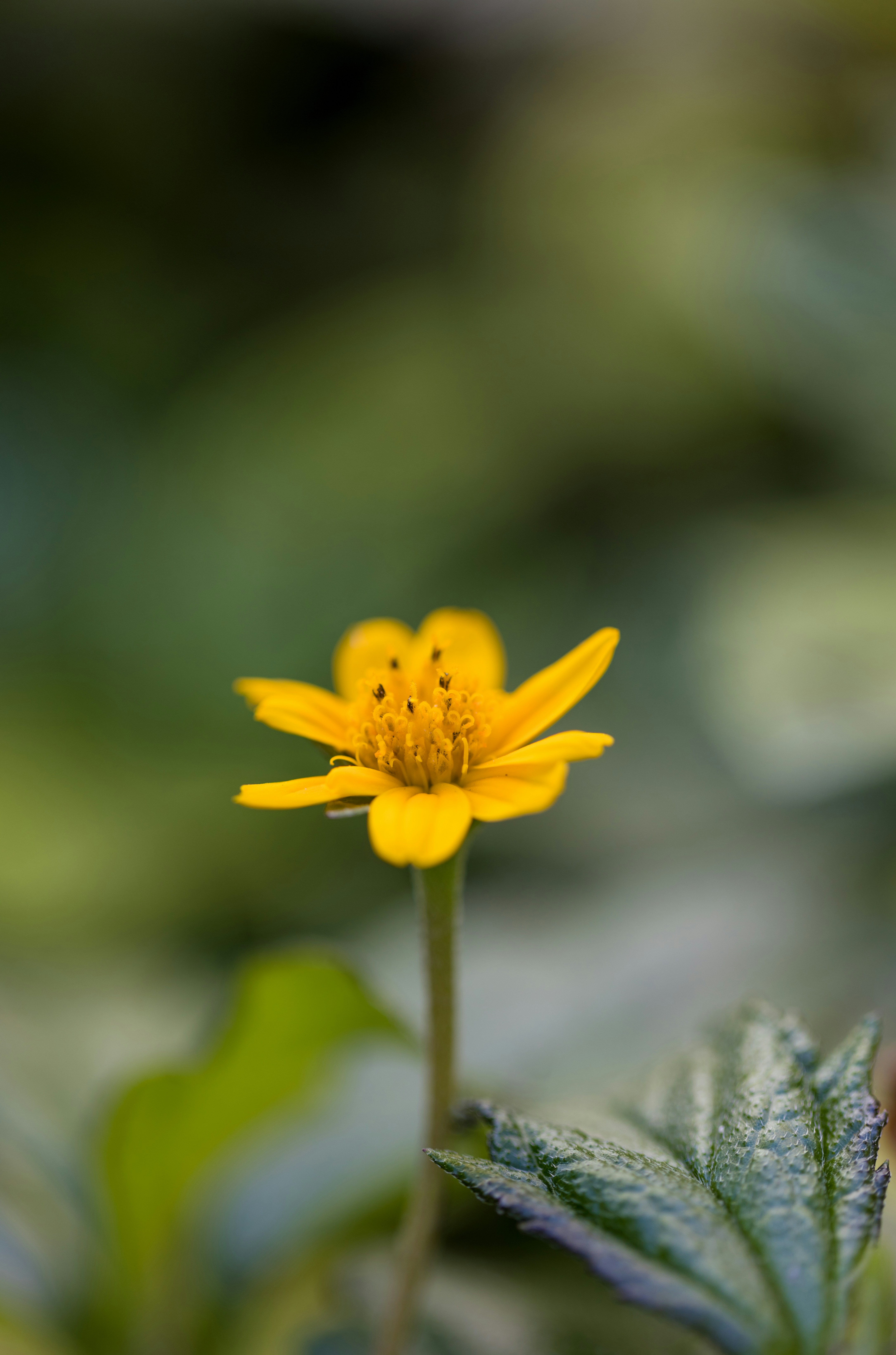 Photo by adnan24nathaniel