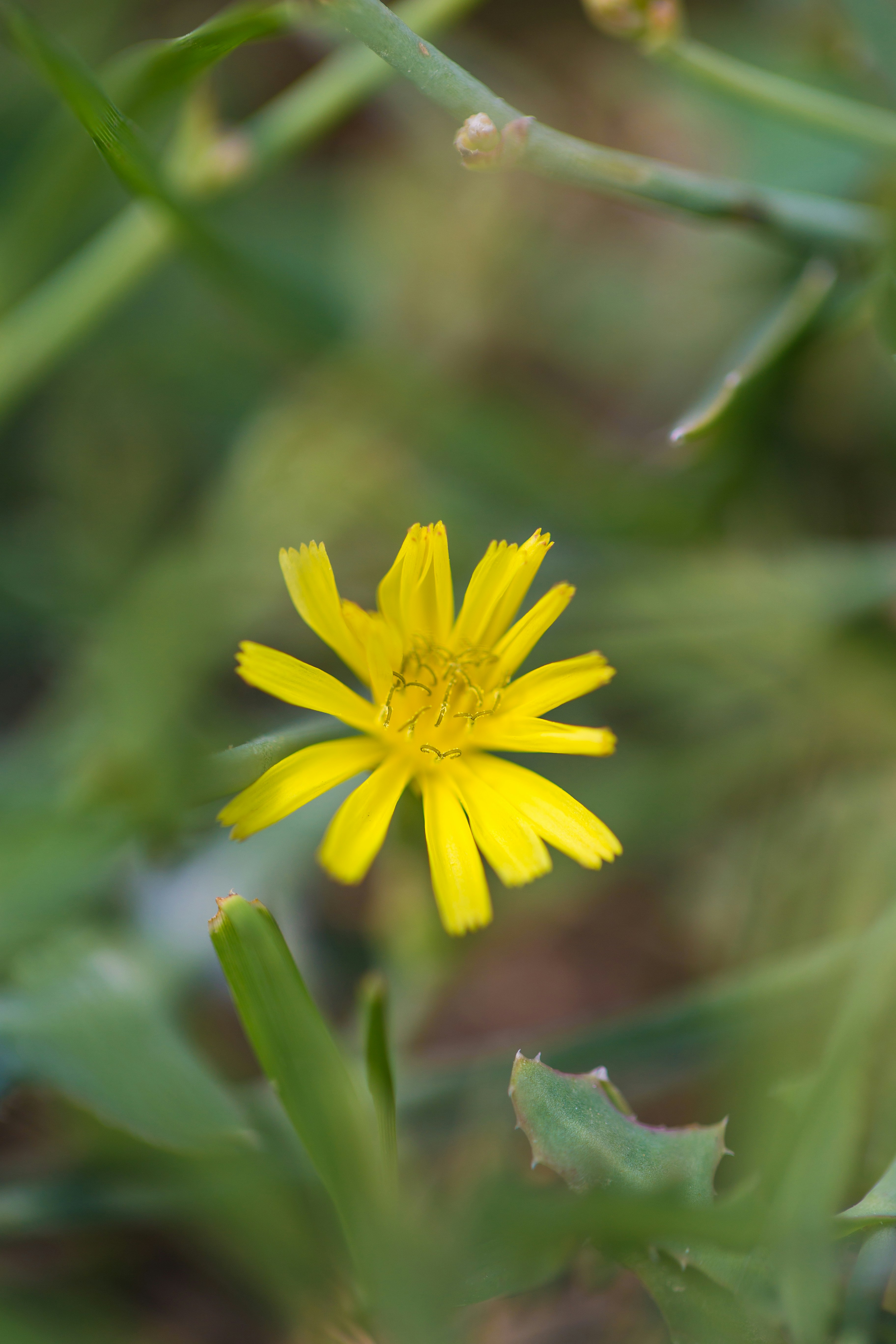 Photo by adnan24nathaniel