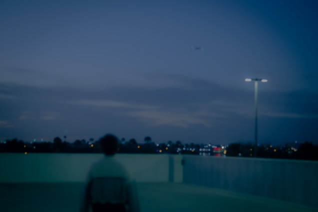 A shadowed figure blending into a bustling city crowd under a twilight sky.