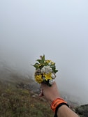 A woman’s hand adorned with multiple bracelets, holding a bouquet of wildflowers.
