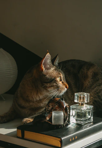 a cat sitting on top of a table next to a bottle of water