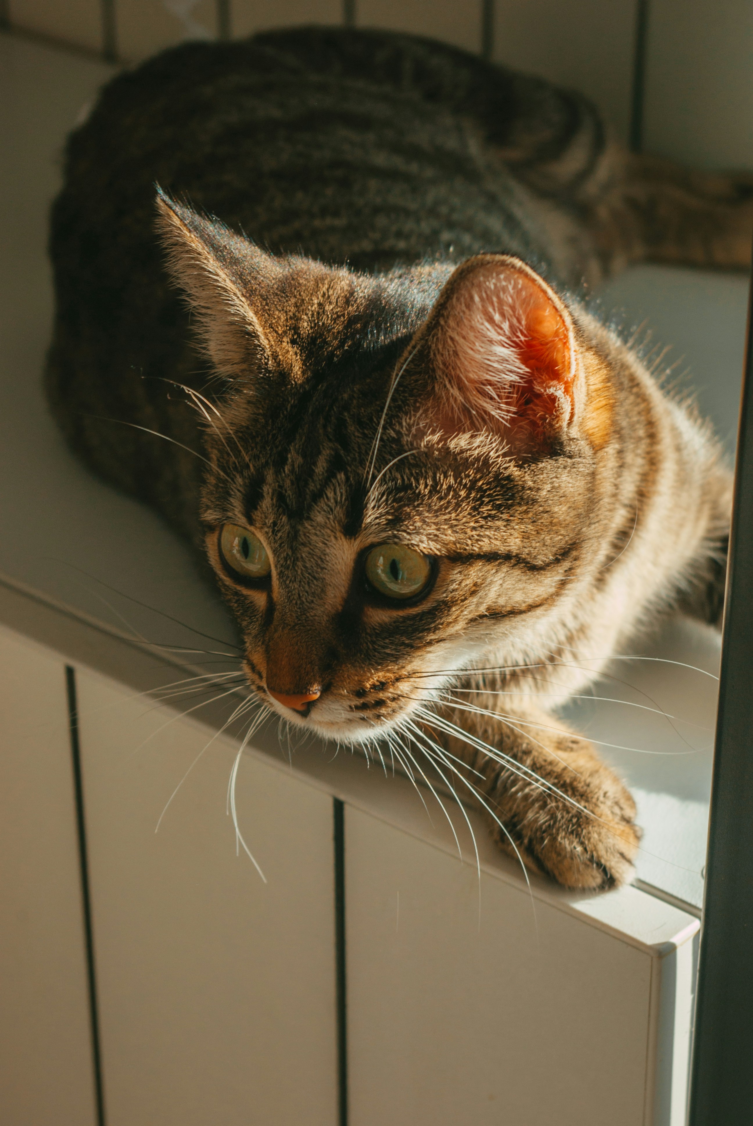 Photo by moonmoons_days