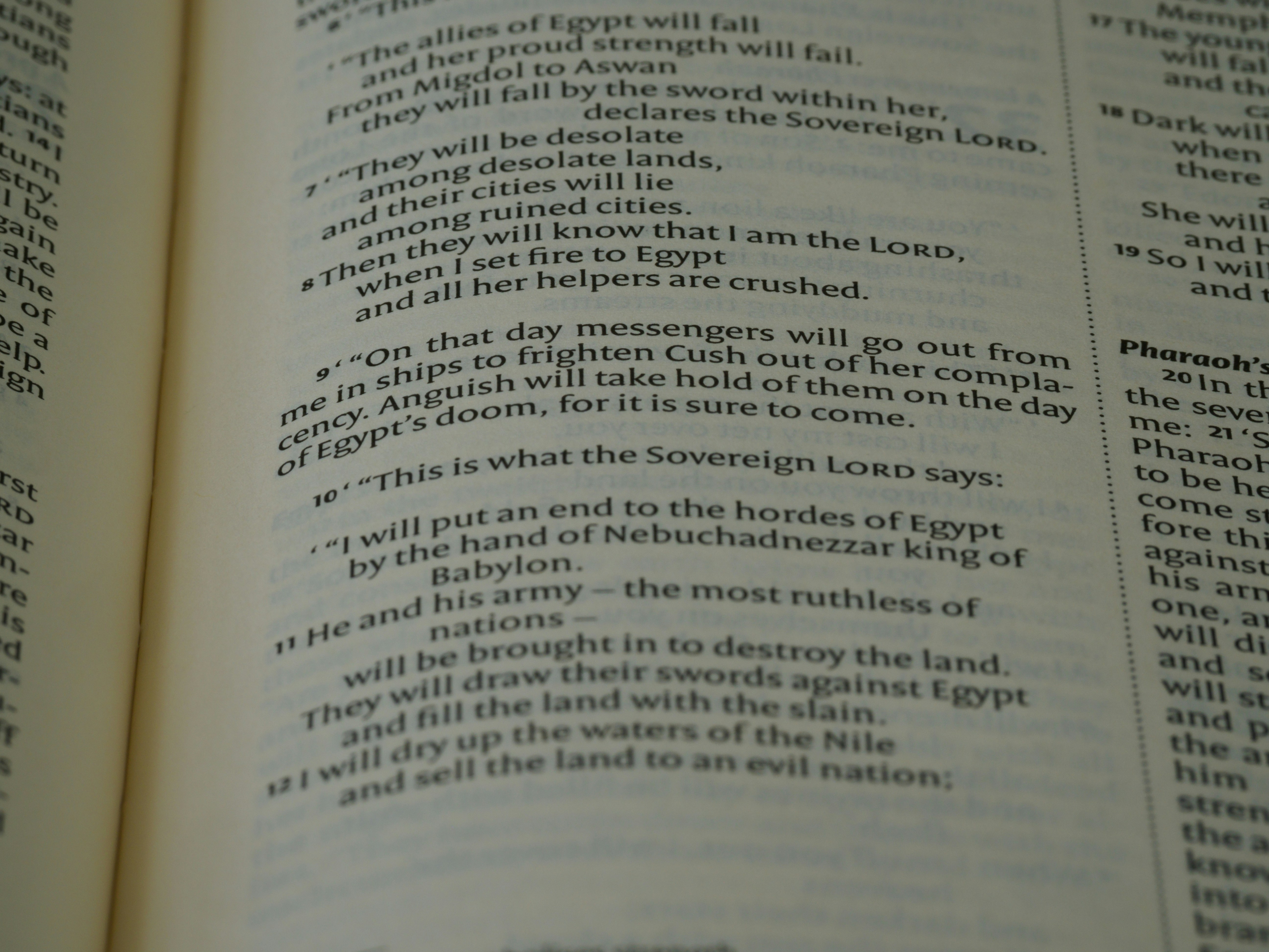 La Biblia de Letra Grande: Comodidad y Estilo en tus Manos