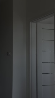 A stylish interior room door partially open showing contemporary decor.