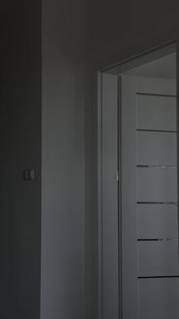 A stylish interior room door partially open showing contemporary decor.