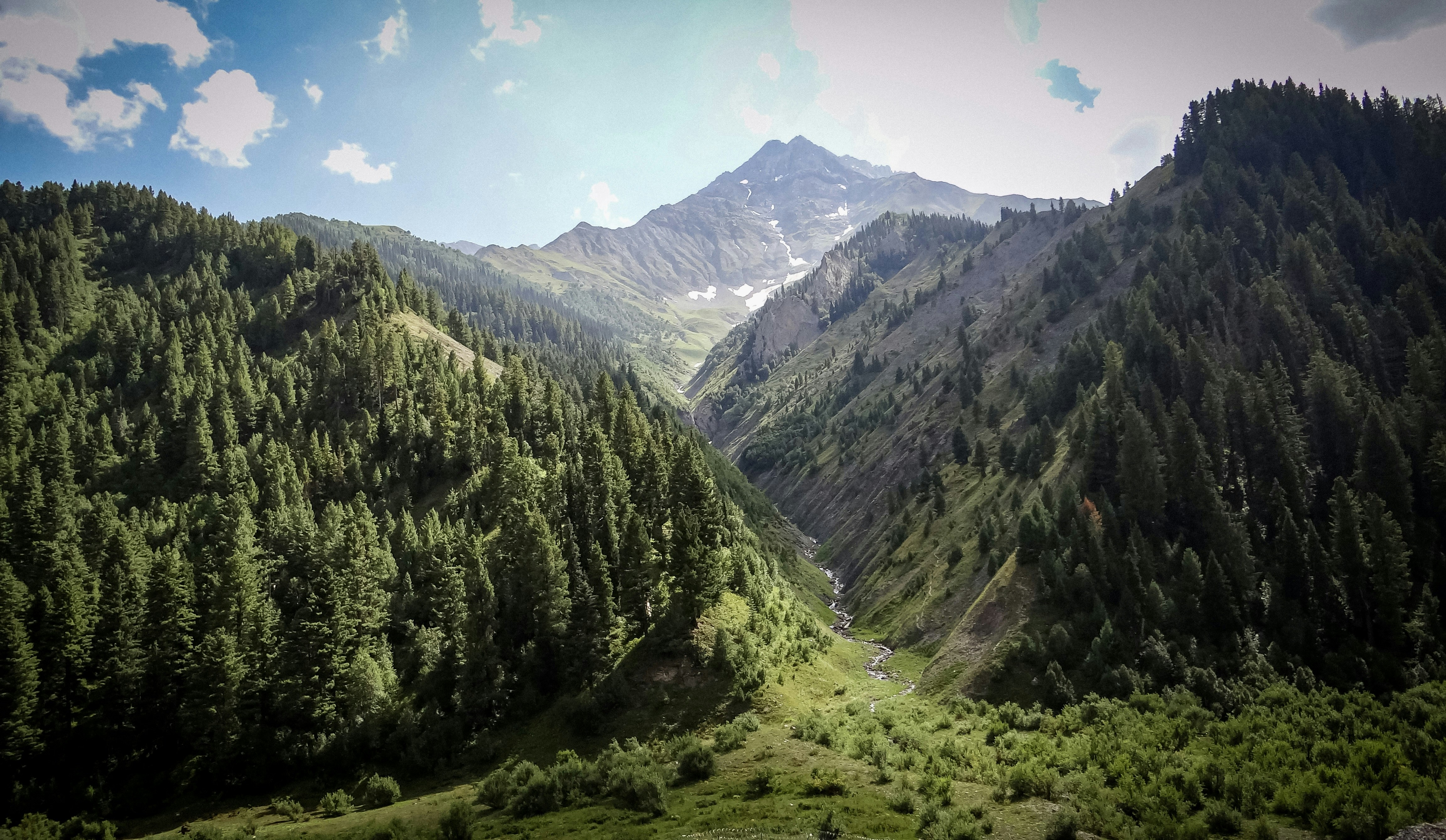 Photo by shahidwani787