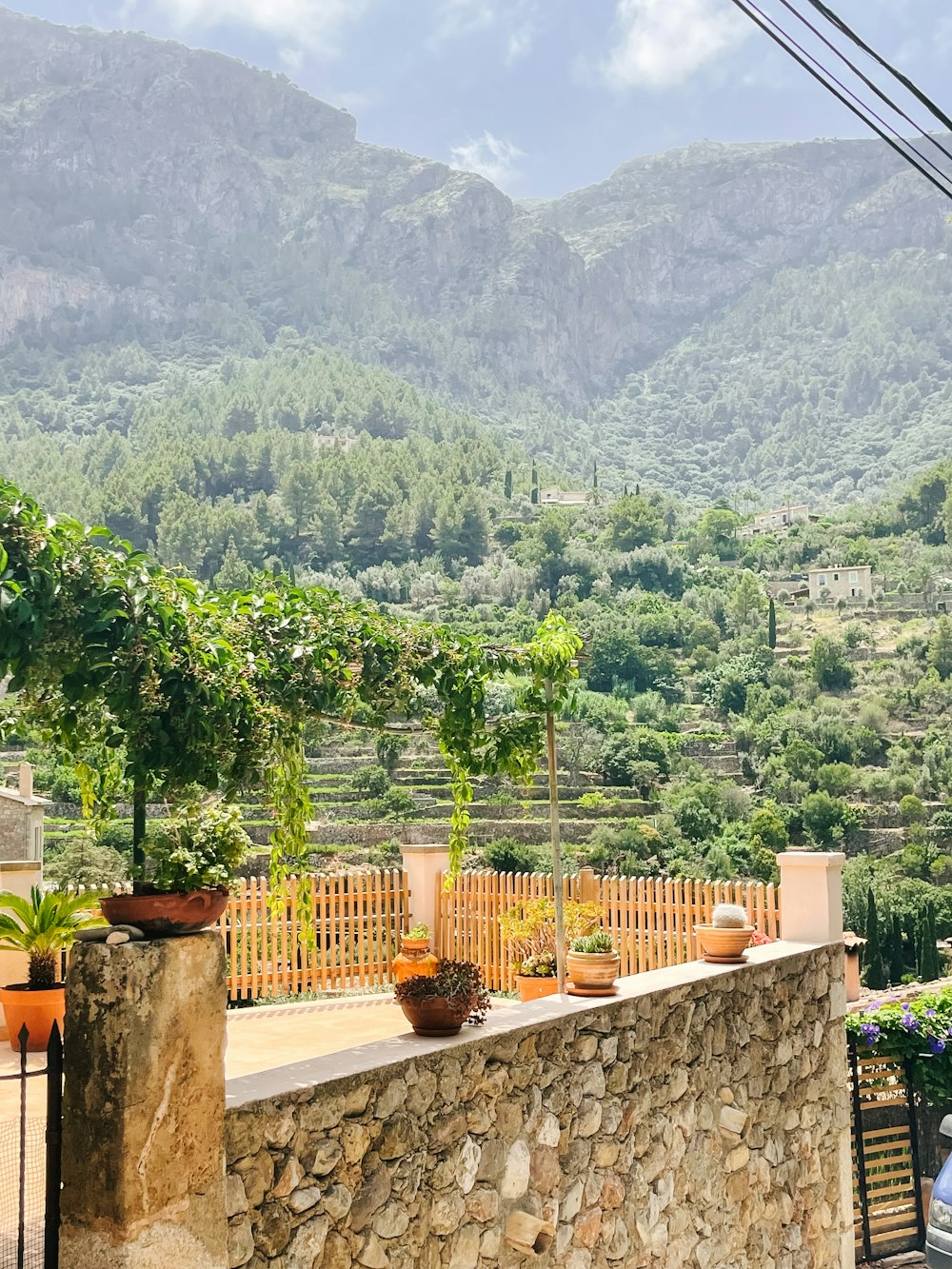 a stone wall with potted plants on top of it