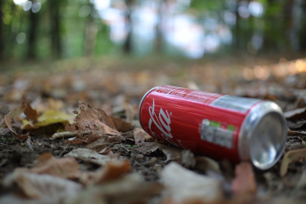 a can of soda sitting on the ground in the woods