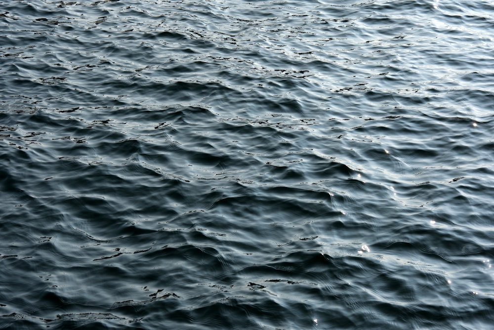 a large body of water with small waves