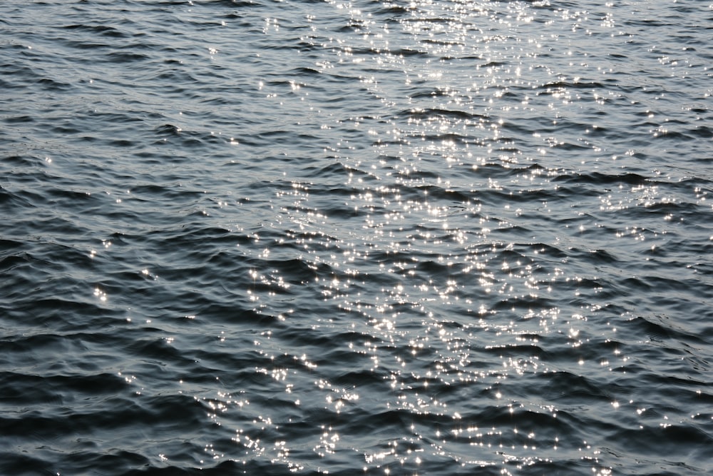 a body of water with lots of water bubbles