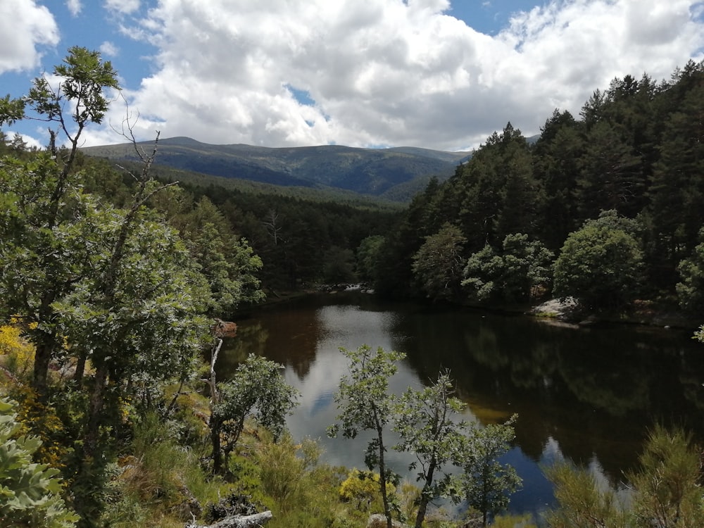 a lake surrounded by trees and mountains under a cloudy sky