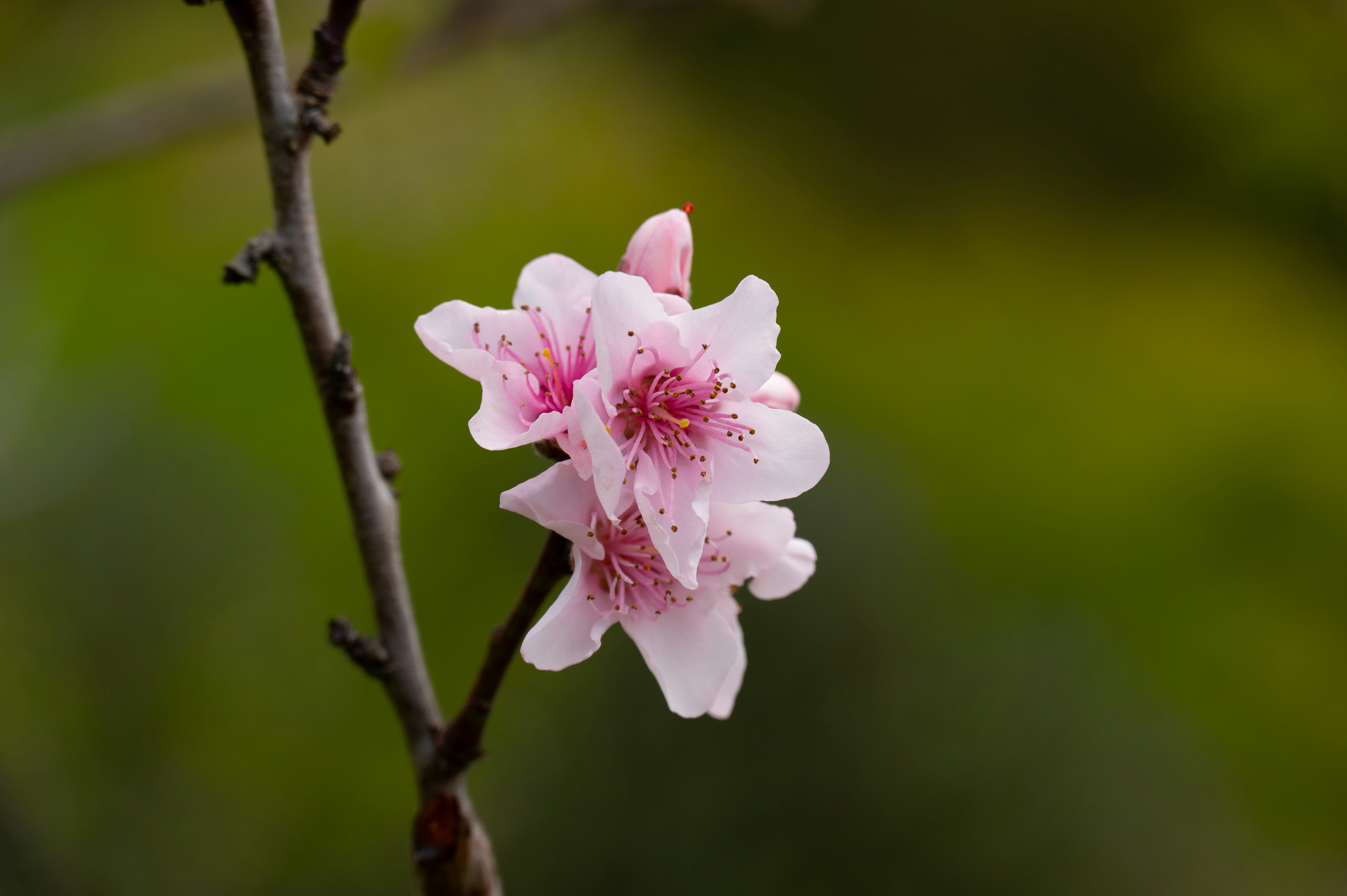 Photo by toby_hall28