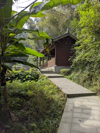 A wooden structure with a traditional architectural style is situated in a lush, green forest environment. There is a stone pathway leading up to the structure, surrounded by dense foliage including large-leaved plants and various trees. Sunlight filters through the canopy, casting dappled shadows on the ground.