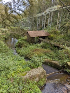 A small rustic wooden hut with a thatched roof is nestled amidst lush greenery and thick vegetation. A serene stream flows gently next to the hut, with rocks and plants lining its banks. In the background, a raised metal walkway or bridge is visible, winding through the forest. The scene exudes a peaceful, natural environment surrounded by tall trees and dense foliage.