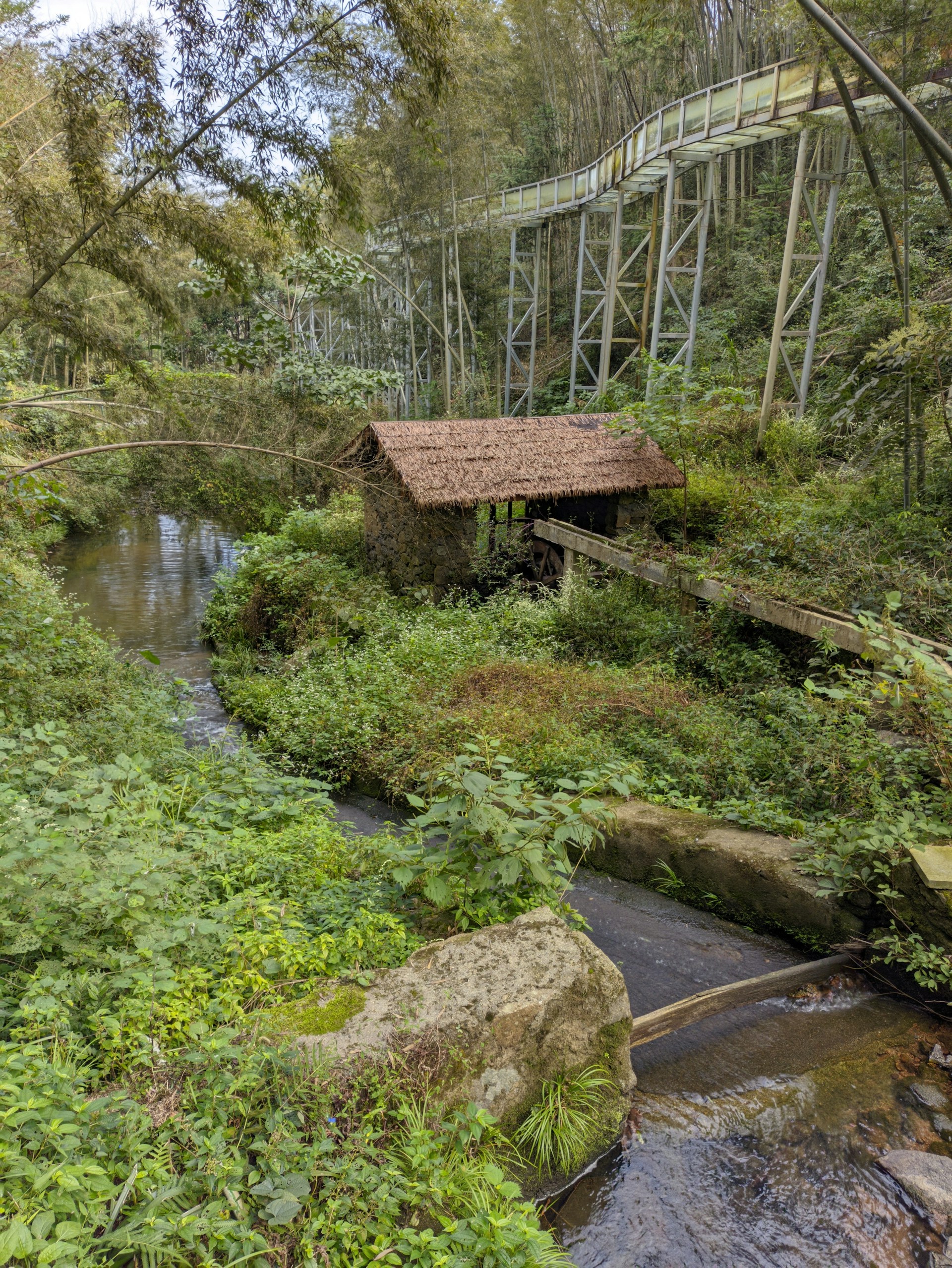 A small rustic wooden hut with a thatched roof is nestled amidst lush greenery and thick vegetation. A serene stream flows gently next to the hut, with rocks and plants lining its banks. In the background, a raised metal walkway or bridge is visible, winding through the forest. The scene exudes a peaceful, natural environment surrounded by tall trees and dense foliage.