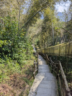 Rustic stone and bamboo pathways winding through the eco-friendly accommodations.