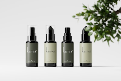Four bottles of skincare products are arranged in a row, each with a similar design and varied in label color. The bottles have a sleek design with the brand name 'kanva' printed on them. To the right, there is a branch with green leaves providing a natural element.