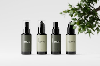 Four bottles of skincare products are arranged in a row, each with a similar design and varied in label color. The bottles have a sleek design with the brand name 'kanva' printed on them. To the right, there is a branch with green leaves providing a natural element.