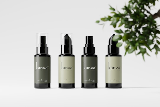 Four bottles of skincare products are arranged in a row, each with a similar design and varied in label color. The bottles have a sleek design with the brand name 'kanva' printed on them. To the right, there is a branch with green leaves providing a natural element.