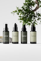 Four bottles of skincare products are arranged in a line against a minimalist background. Each bottle is labeled with the brand name 'kanva' and features different shades of green. A leafy branch is visible at the top right corner, adding a natural element to the composition.