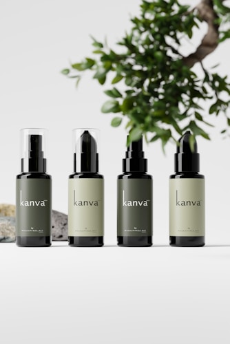 Four bottles of skincare products are arranged in a line against a minimalist background. Each bottle is labeled with the brand name 'kanva' and features different shades of green. A leafy branch is visible at the top right corner, adding a natural element to the composition.