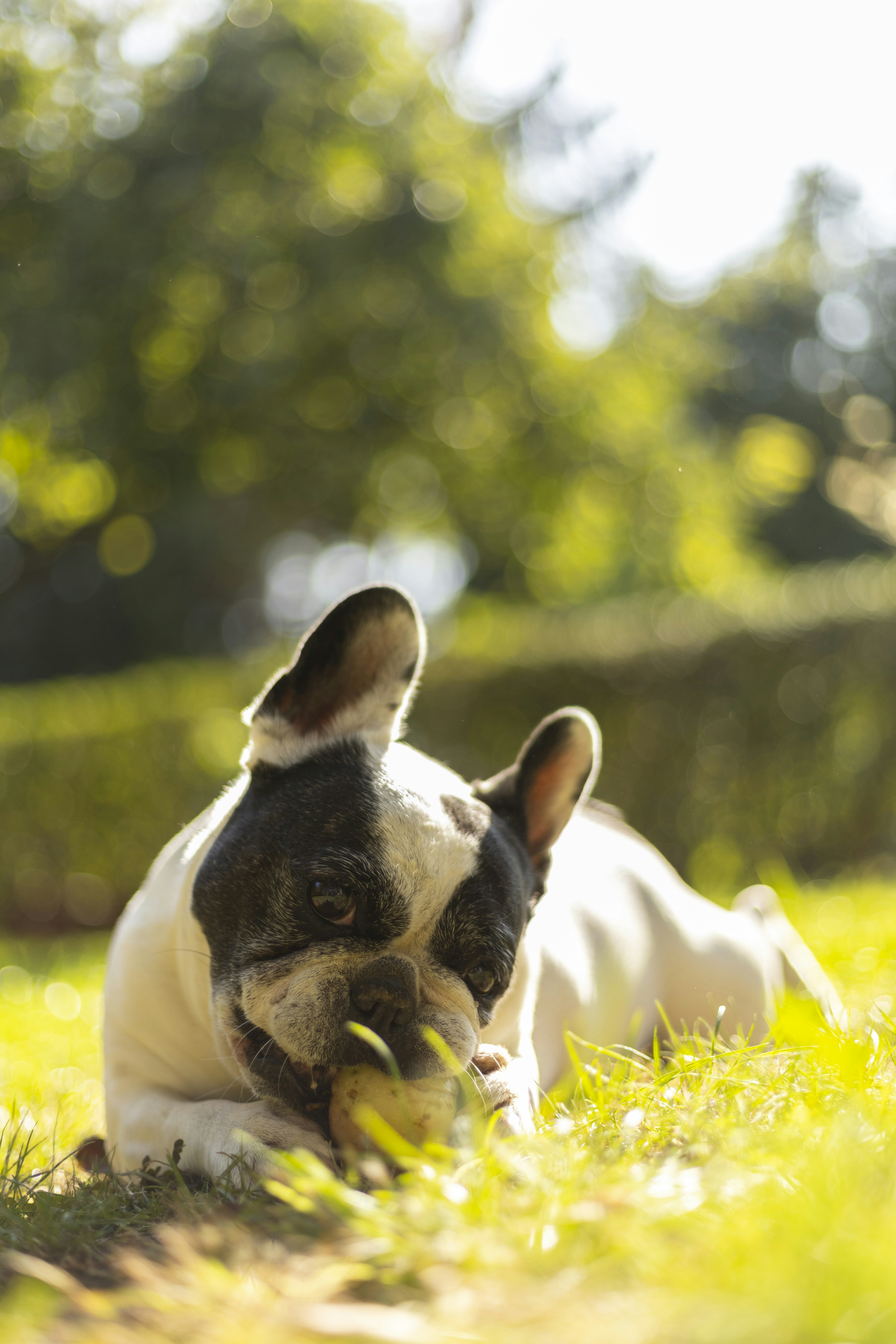 Photo by albertdavid6