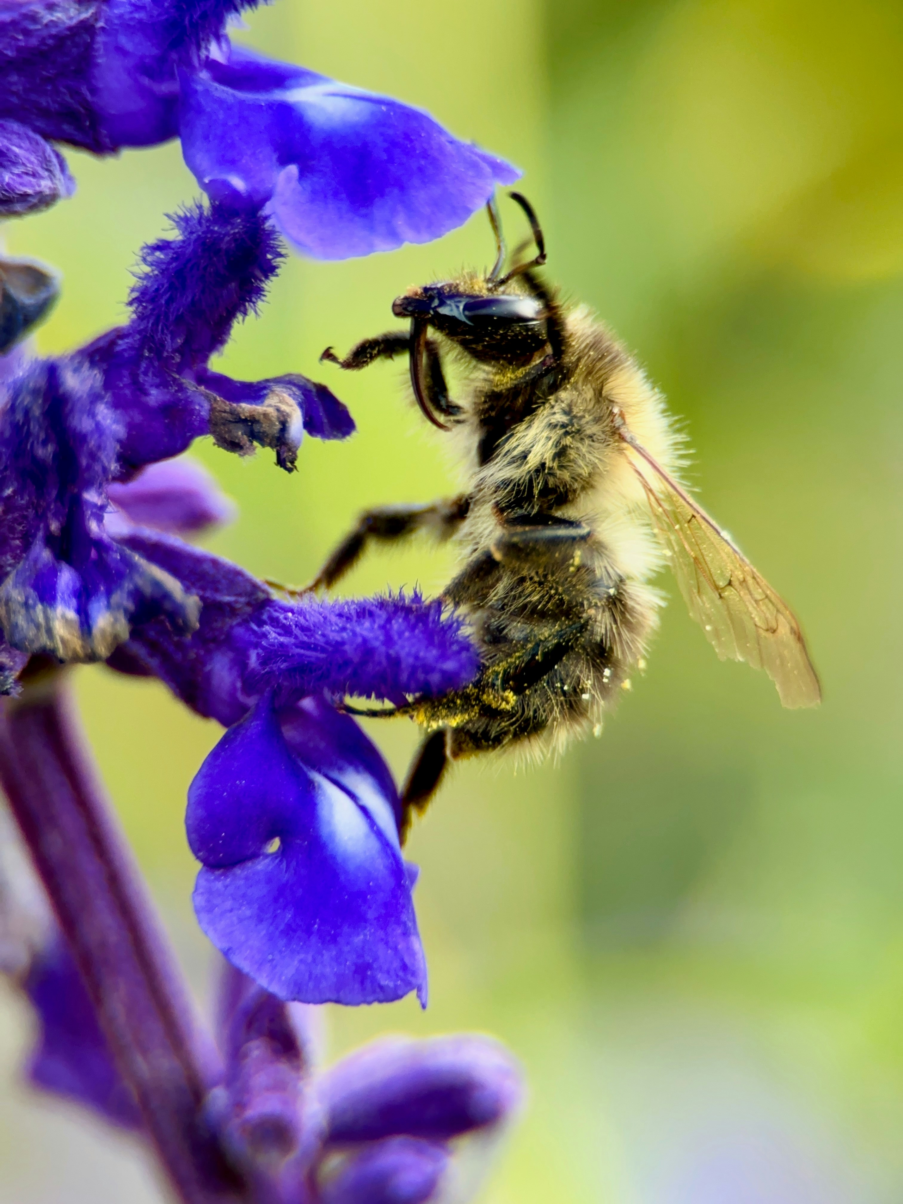 Photo by fredy_mederos