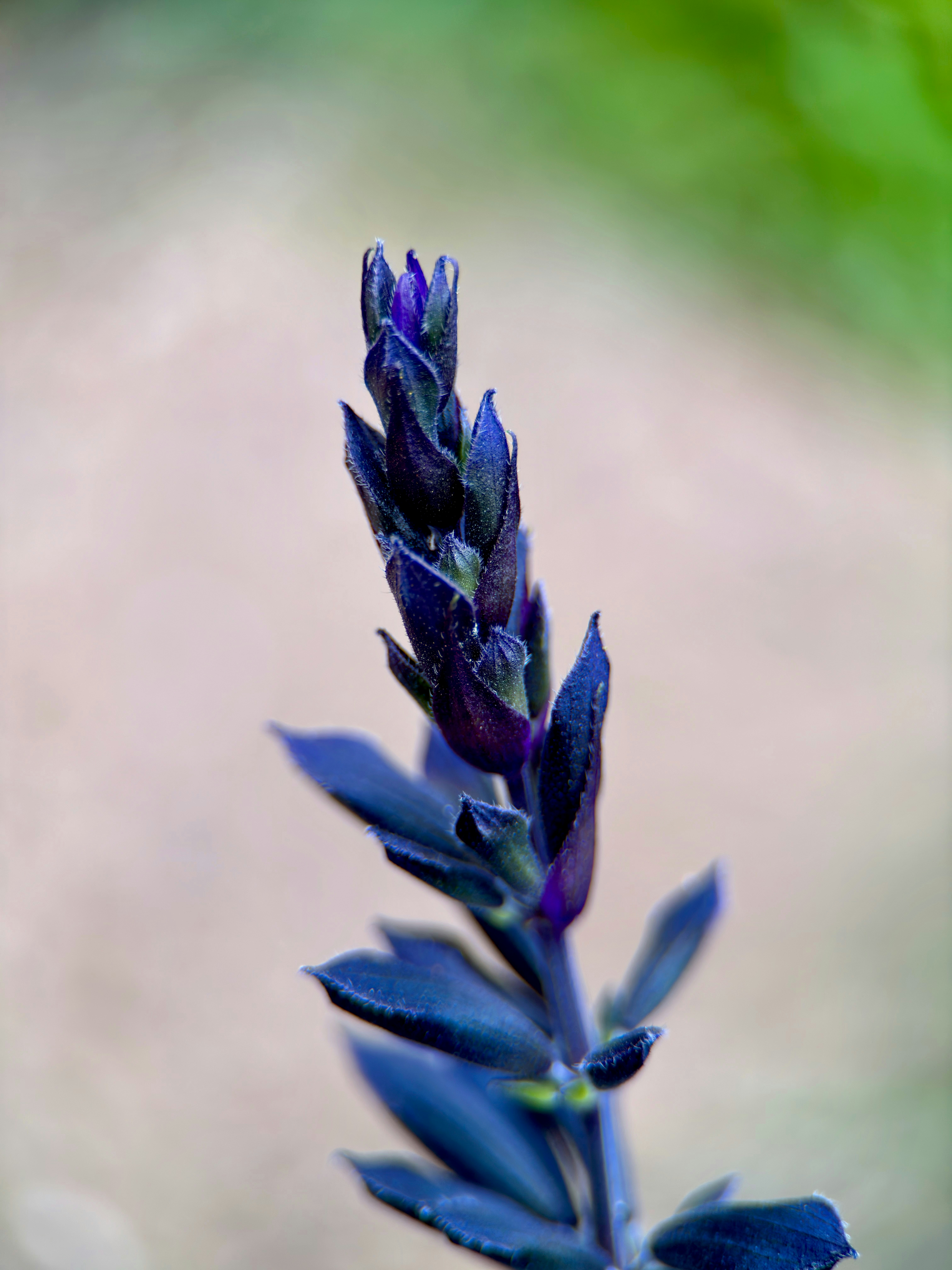 Photo by fredy_mederos