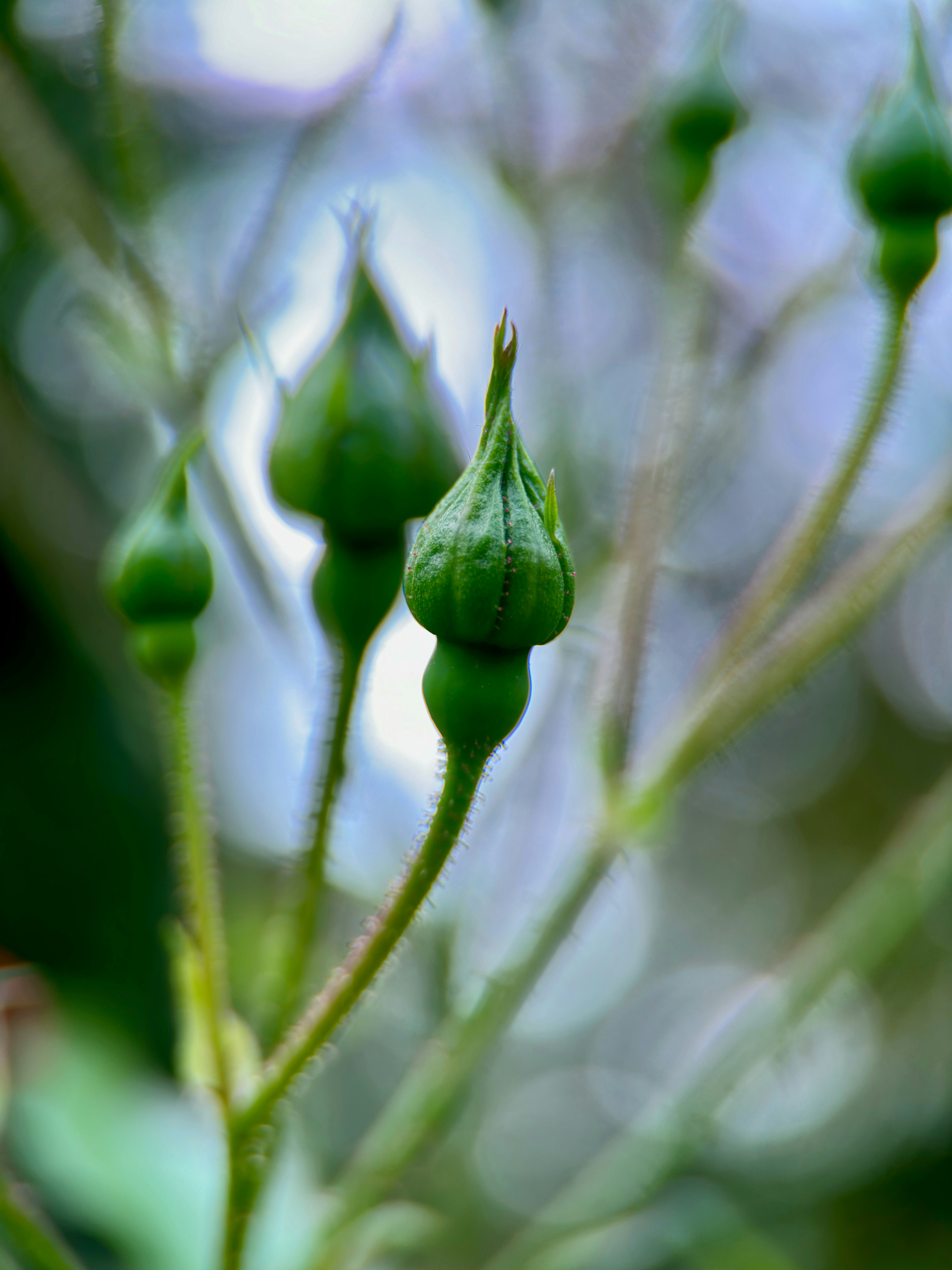 Photo by fredy_mederos