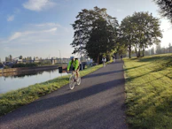 A group of friends cycling together on a sunny day along the Rhine river.