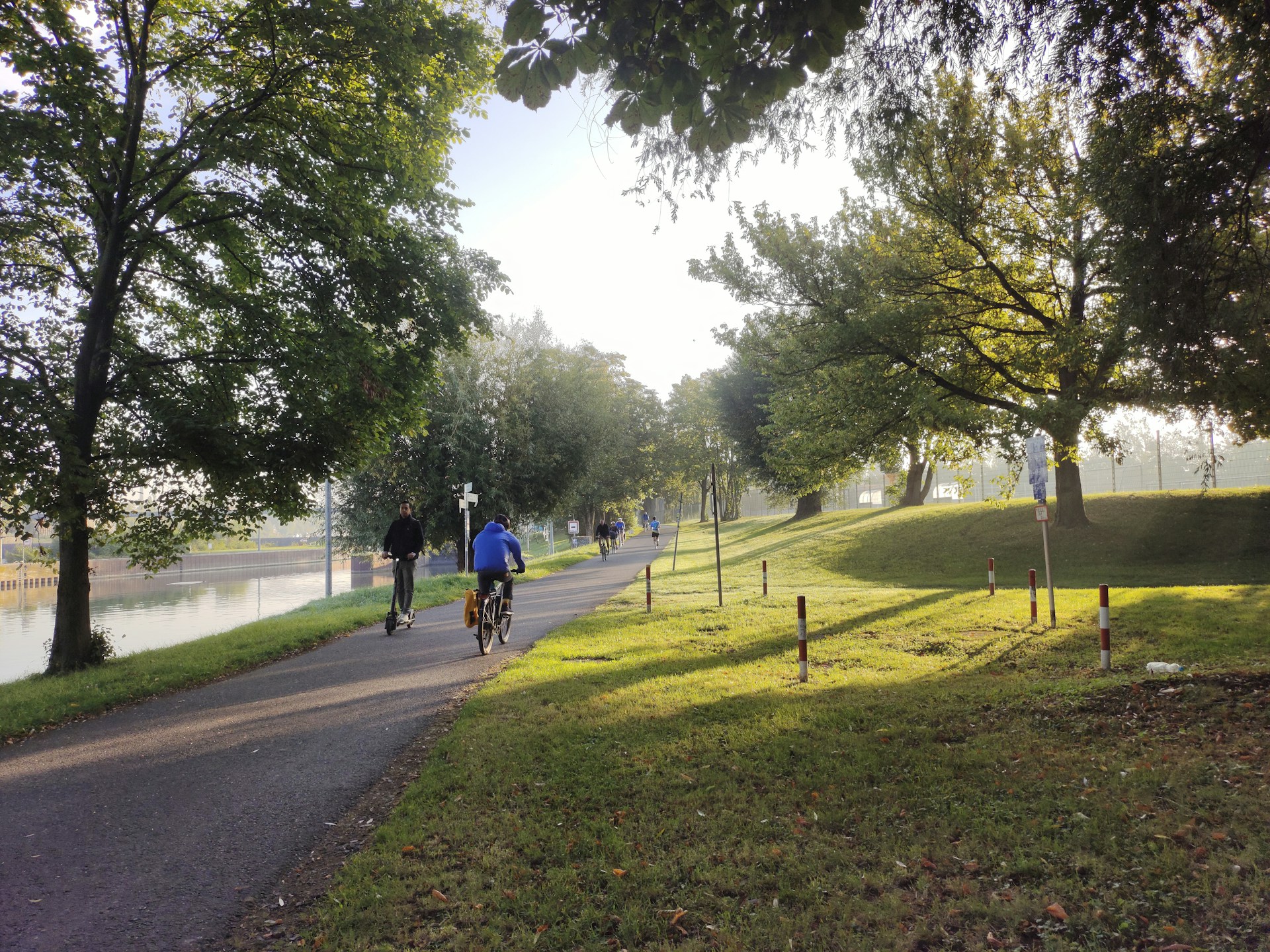 A serene morning walk through a lush Rotterdam park with family members enjoying nature.