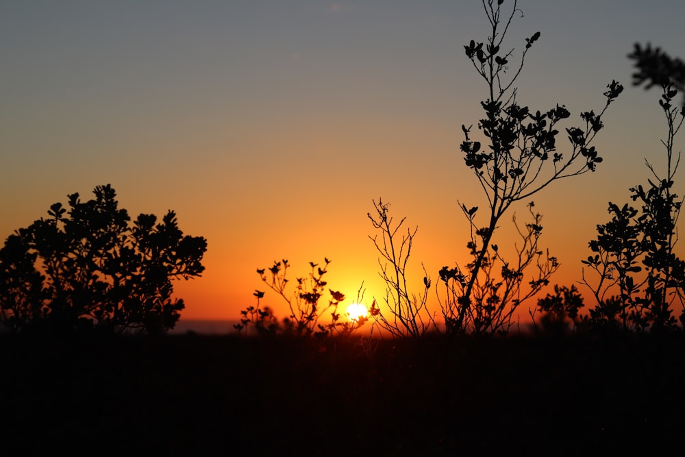 the sun is setting behind some trees