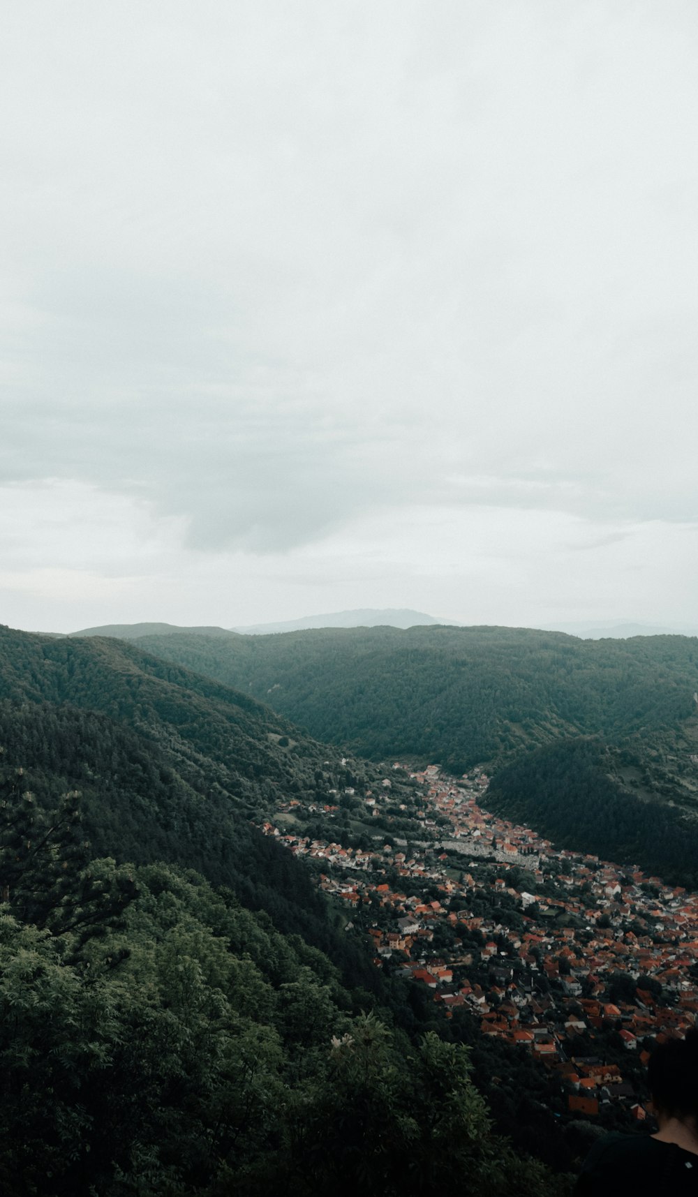 a person standing on top of a lush green hillside