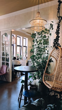 A cozy and stylish indoor setting featuring a wicker lampshade hanging from the ceiling, with lush green plants climbing a white wall. A round black table with stools and a hanging wicker chair contribute to a relaxed ambiance. Large windows allow natural light to fill the room, with more seating visible in the background.