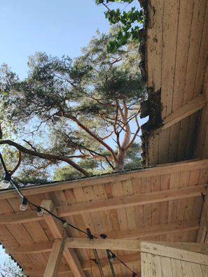 Overkapping in a backyard featuring sturdy timber beams and integrated lighting.
