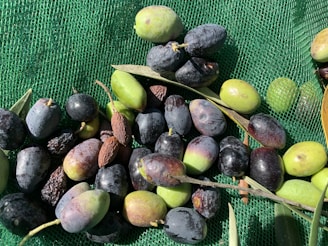 Different varieties of olives ready for harvest.