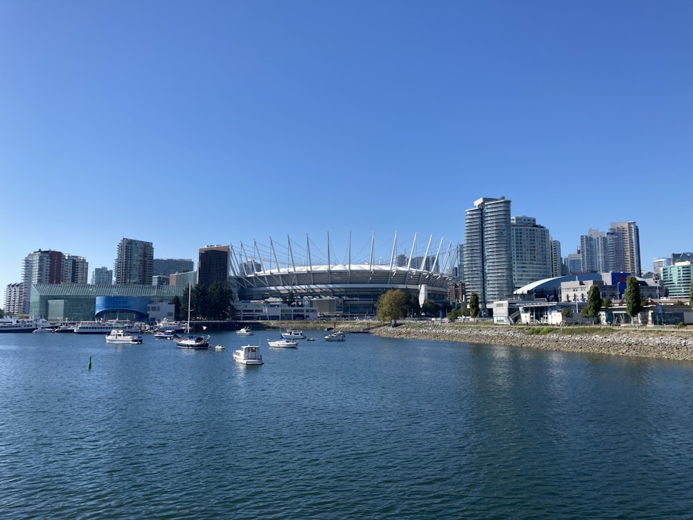 a body of water with a city in the background